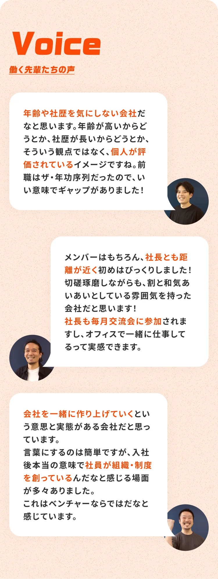 働く先輩たちの声